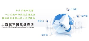 上海全套代理纸尿裤进口通关及国内贸易代理服务指南