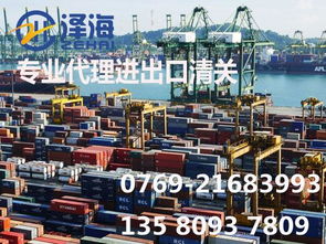 代理测量仪器进口报关与国内贸易代理综合指南