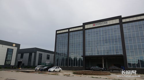 节约集约用地看河北②丨鸡泽 食品园区变身 集约共享工厂 国内贸易代理